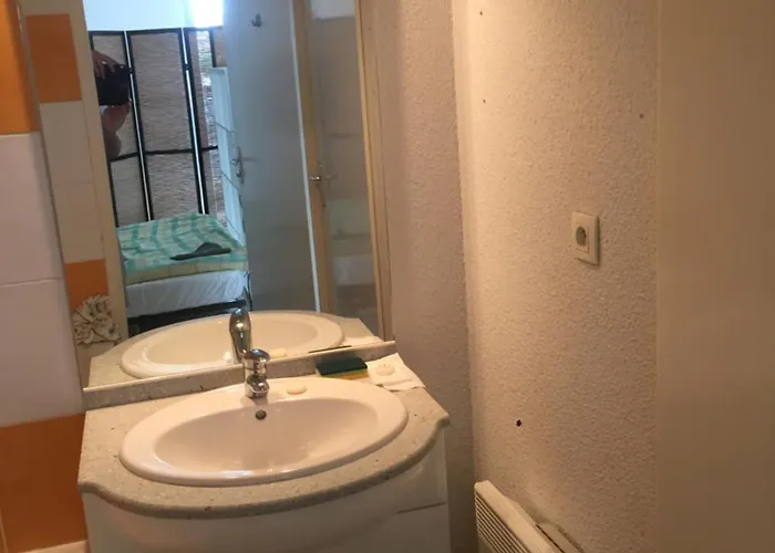 T1 Avec Terrasse Au Calme 4eme Etage Sur 4 Toulouse